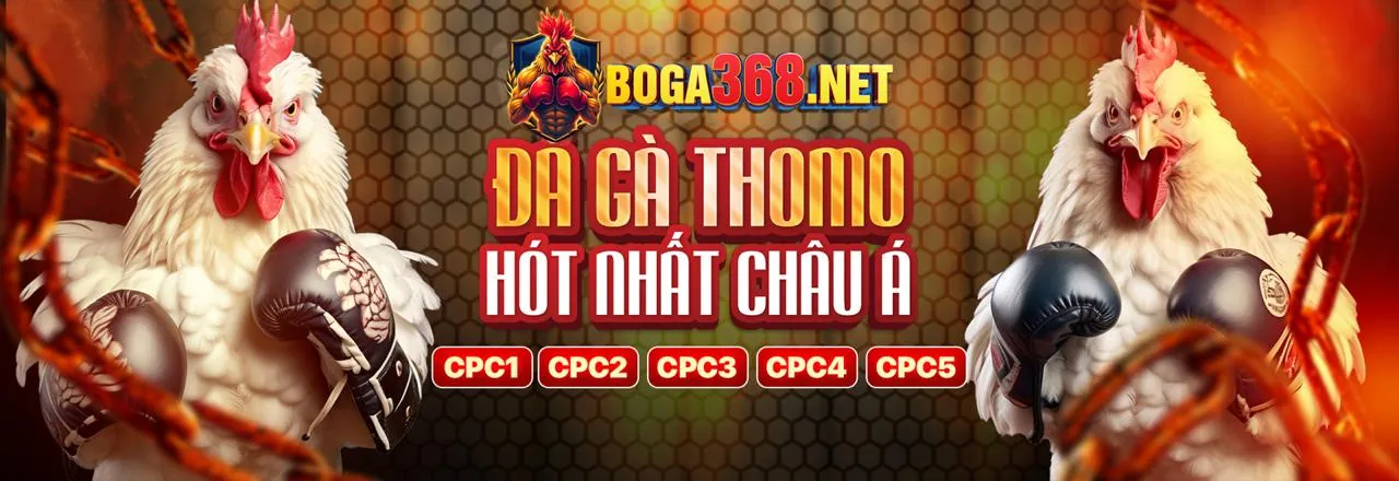 Các phương thức thanh toán đa dạng tại suncity top 1