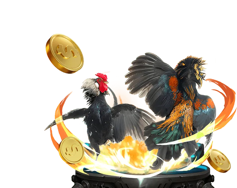 Các Hoạt động Bị Cấm trên Suncity Top 1