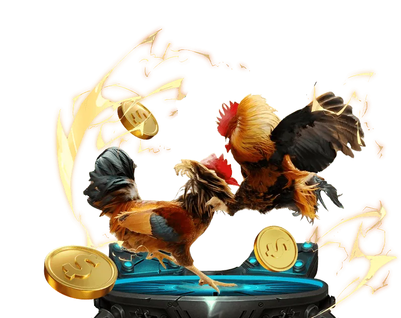 Giới thiệu về Điều khoản Dịch vụ Suncity Top 1